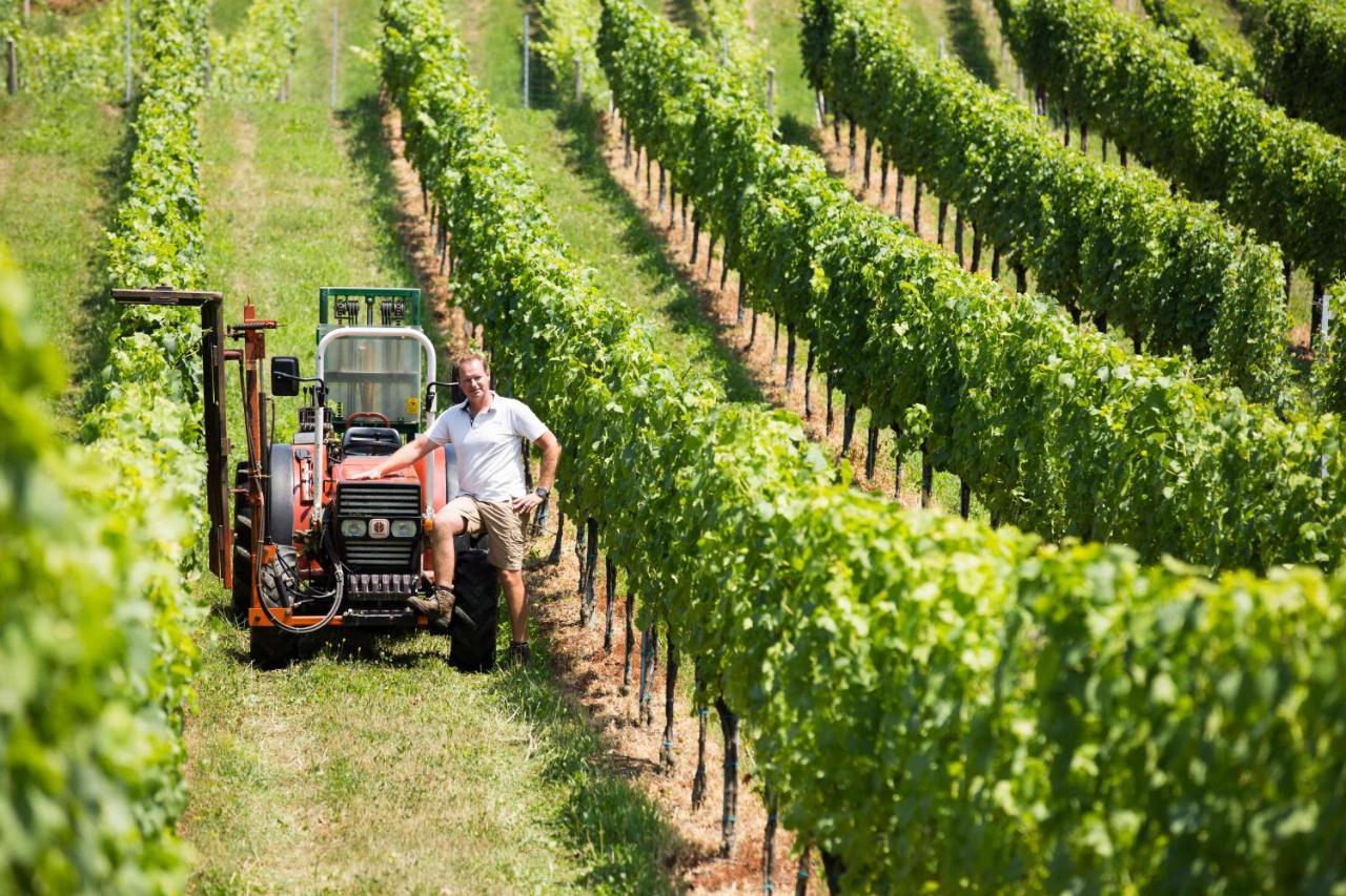 Weingut-Gaestezimmer Uhl Ratsch an der Weinstraße Εξωτερικό φωτογραφία